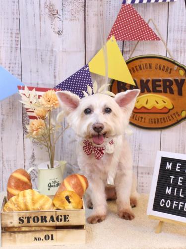 20240929ヴィヴィちゃん 